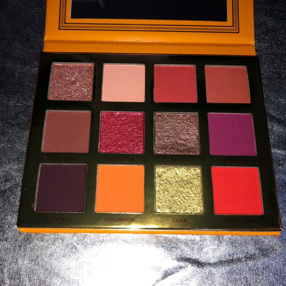 Ace Beaute falling for you palette